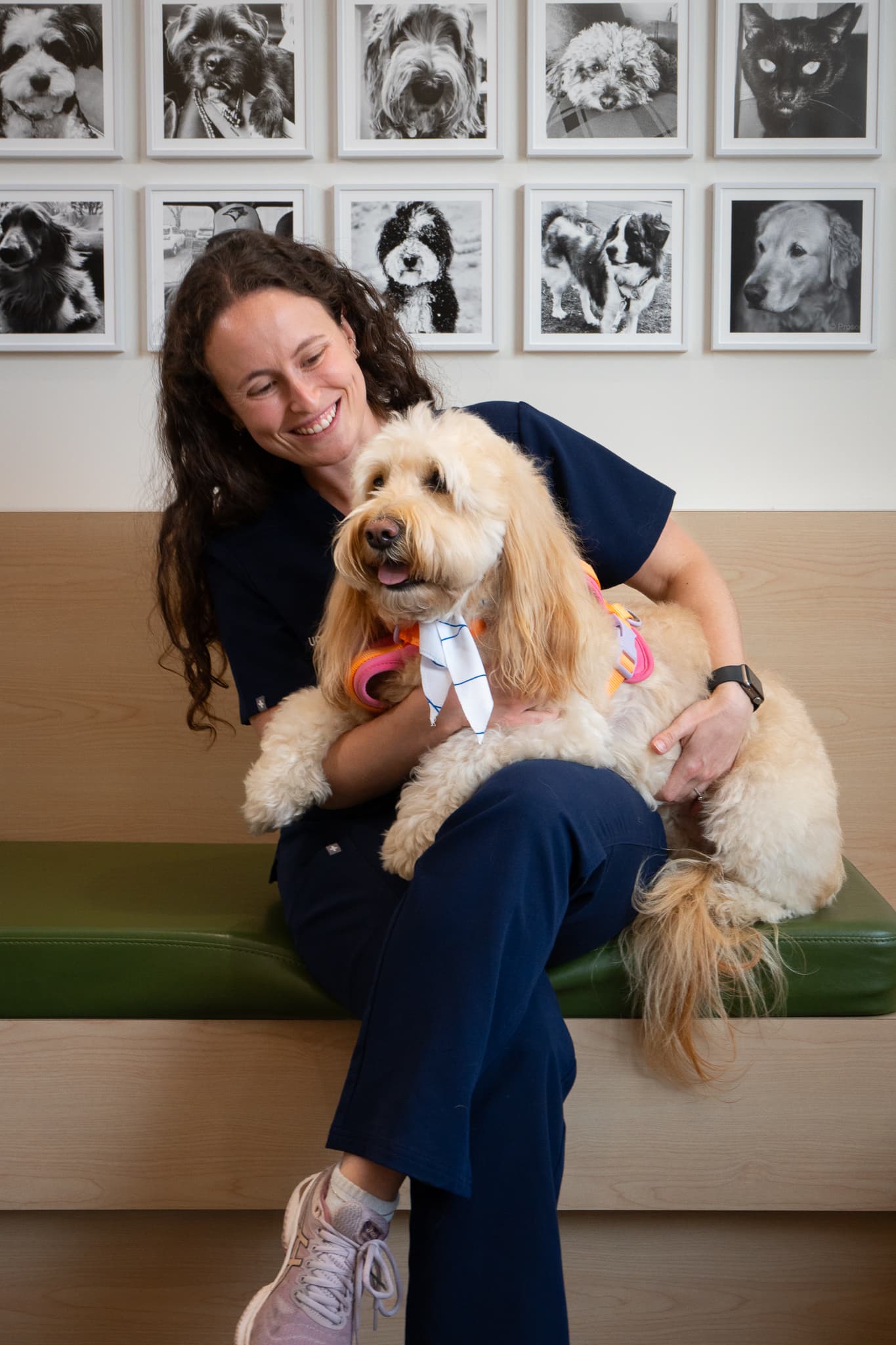 A calm moment with a dog at Upper Village Veterinary Hospital