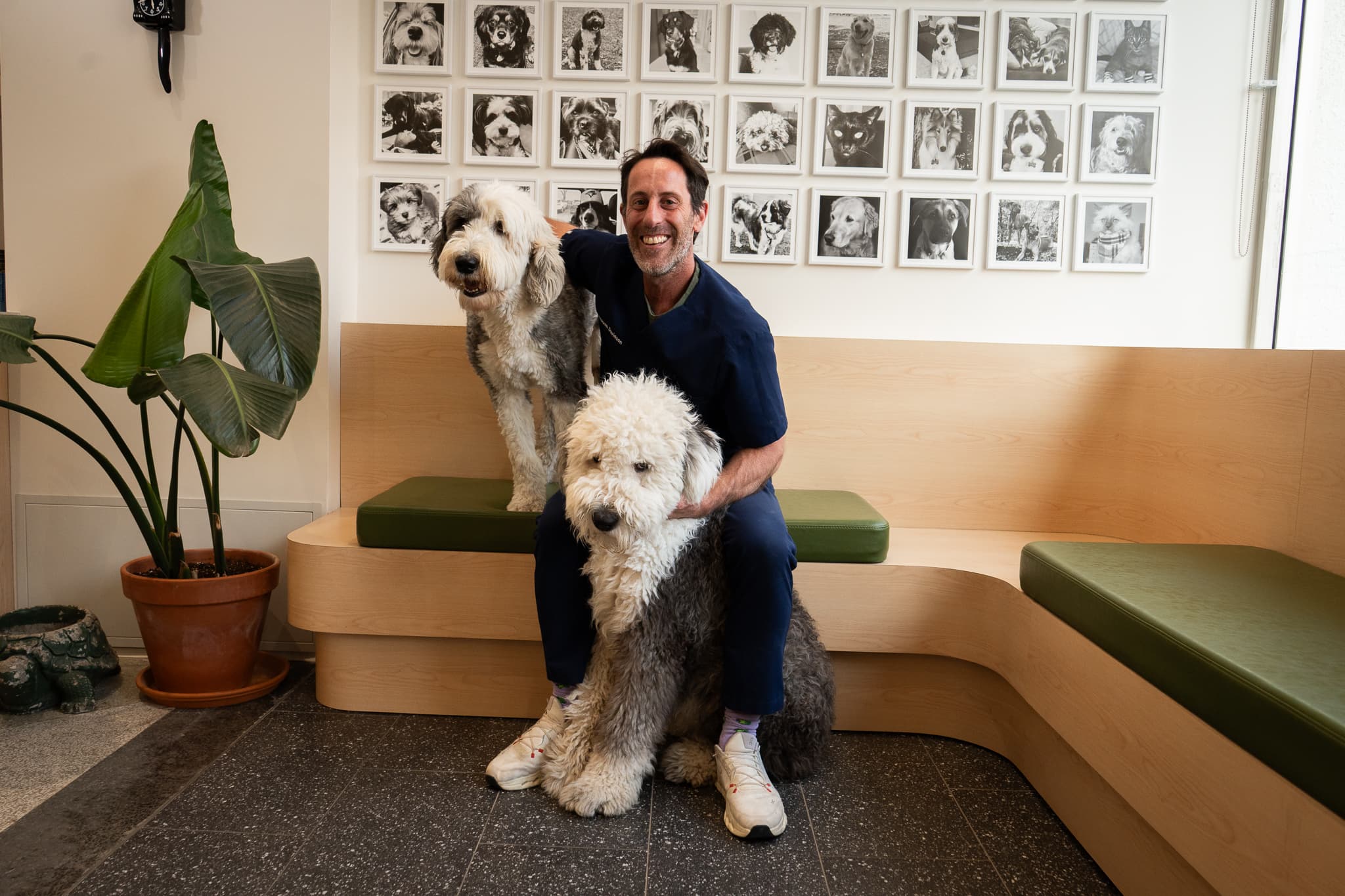 Dr. Steven Davidson at Upper Village Veterinary Hospital