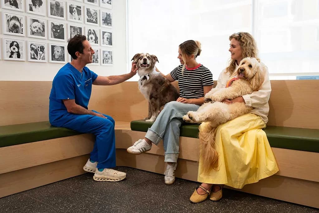 Dr. Steven patting a dog
