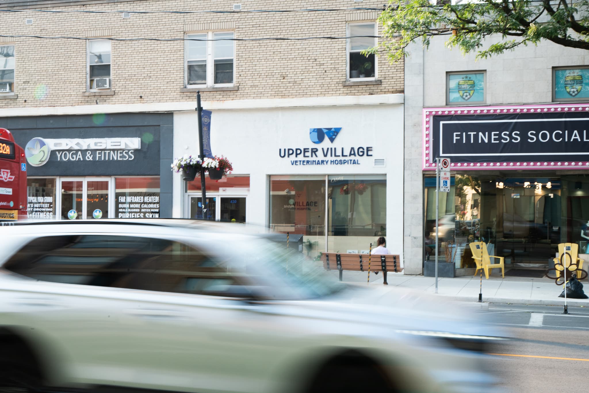 Upper Village Veterinary Hospital storefront on Eglinton Avenue West