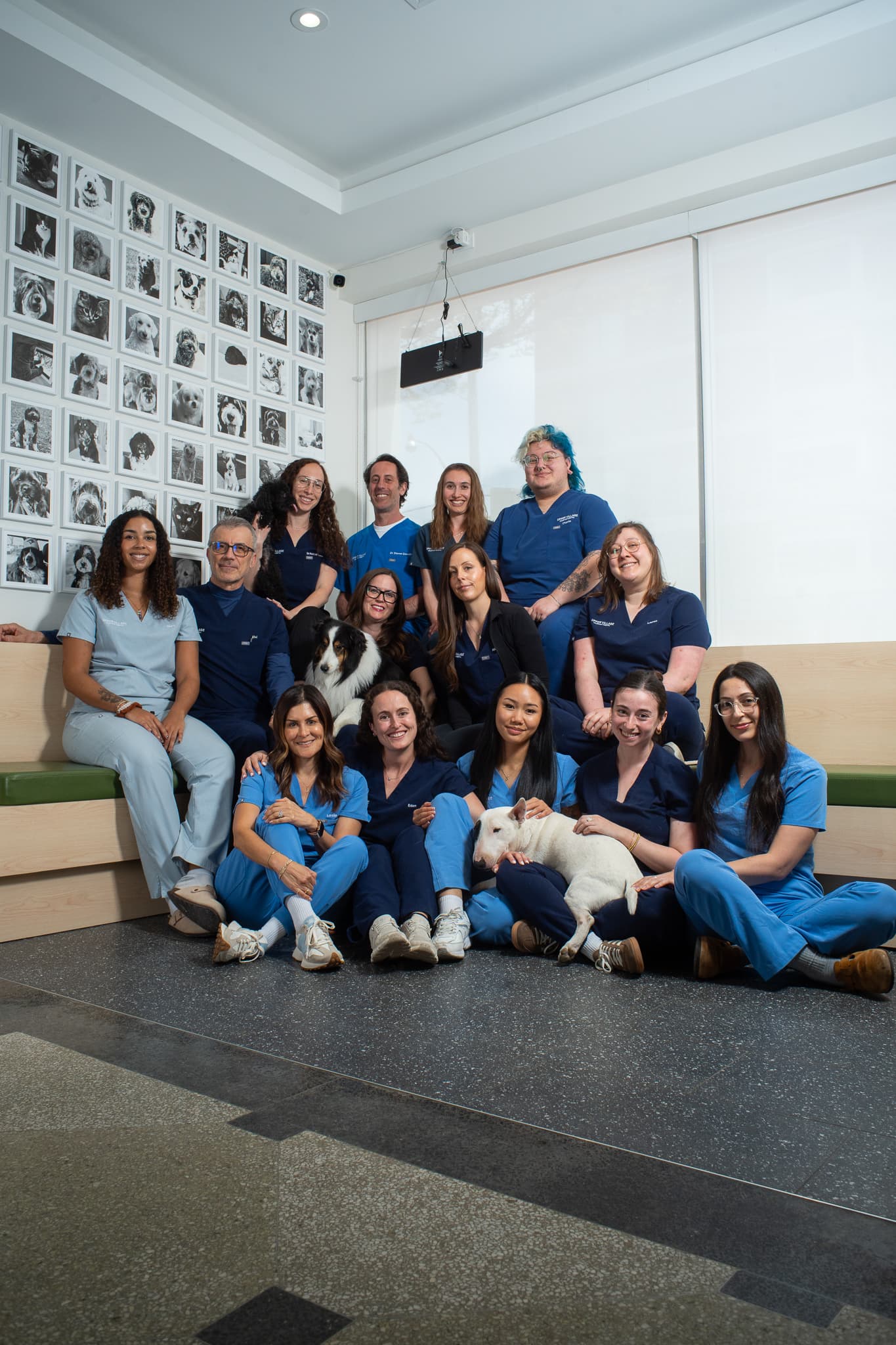 Upper Village Veterinary Hospital team photo